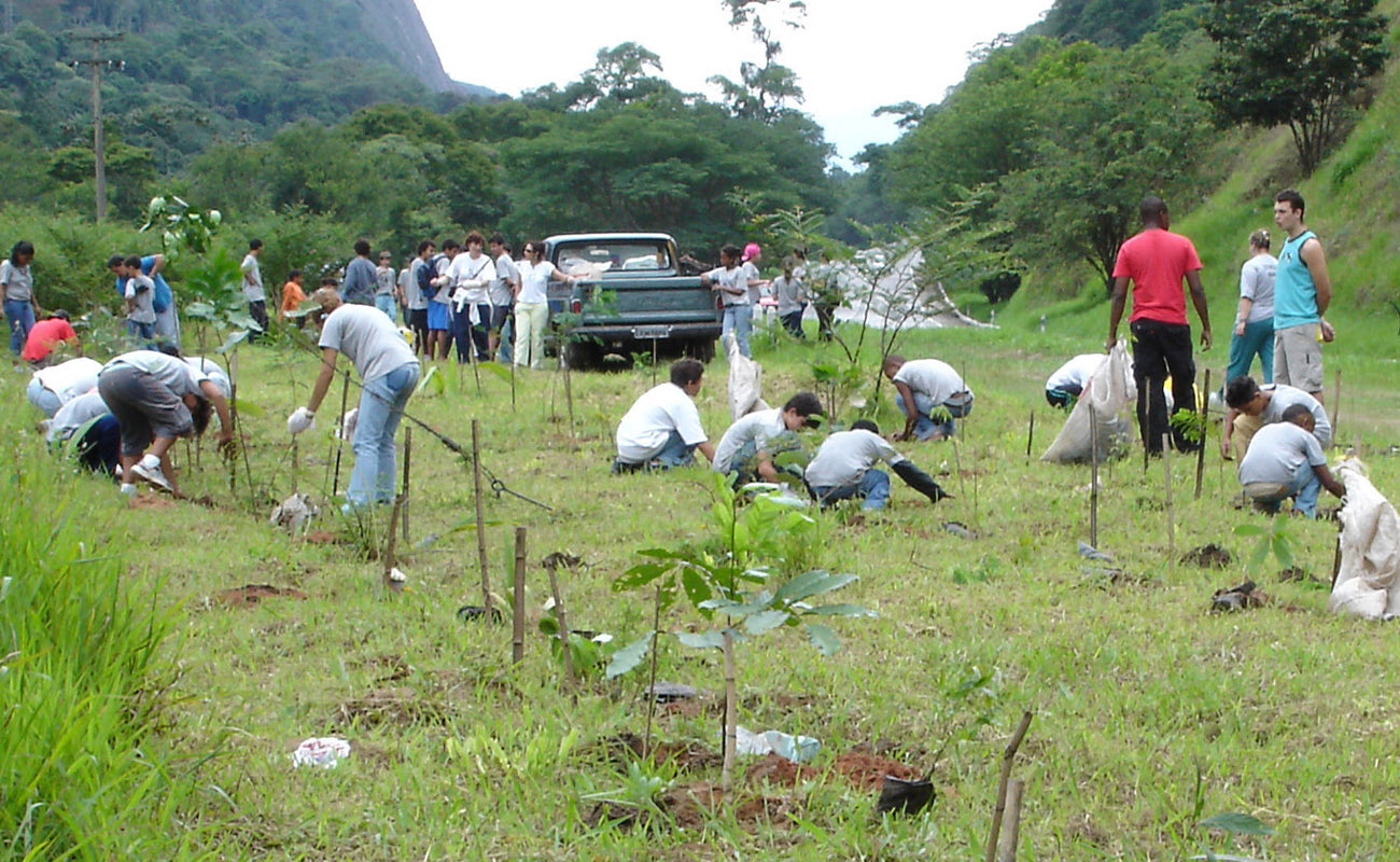 The Mil Folhas Project