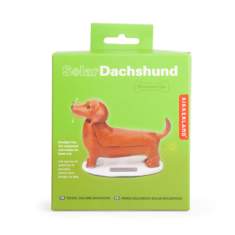 Solar Dachshund - Boudewijn