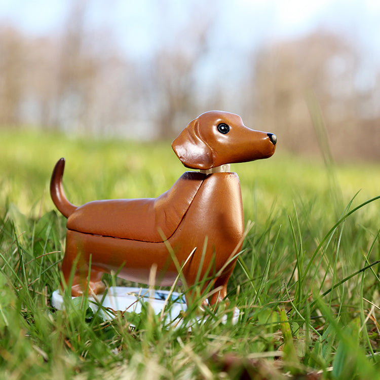 Solar Dachshund - Boudewijn