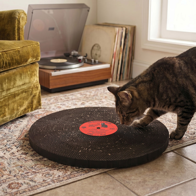 Kiko Record Scratcher