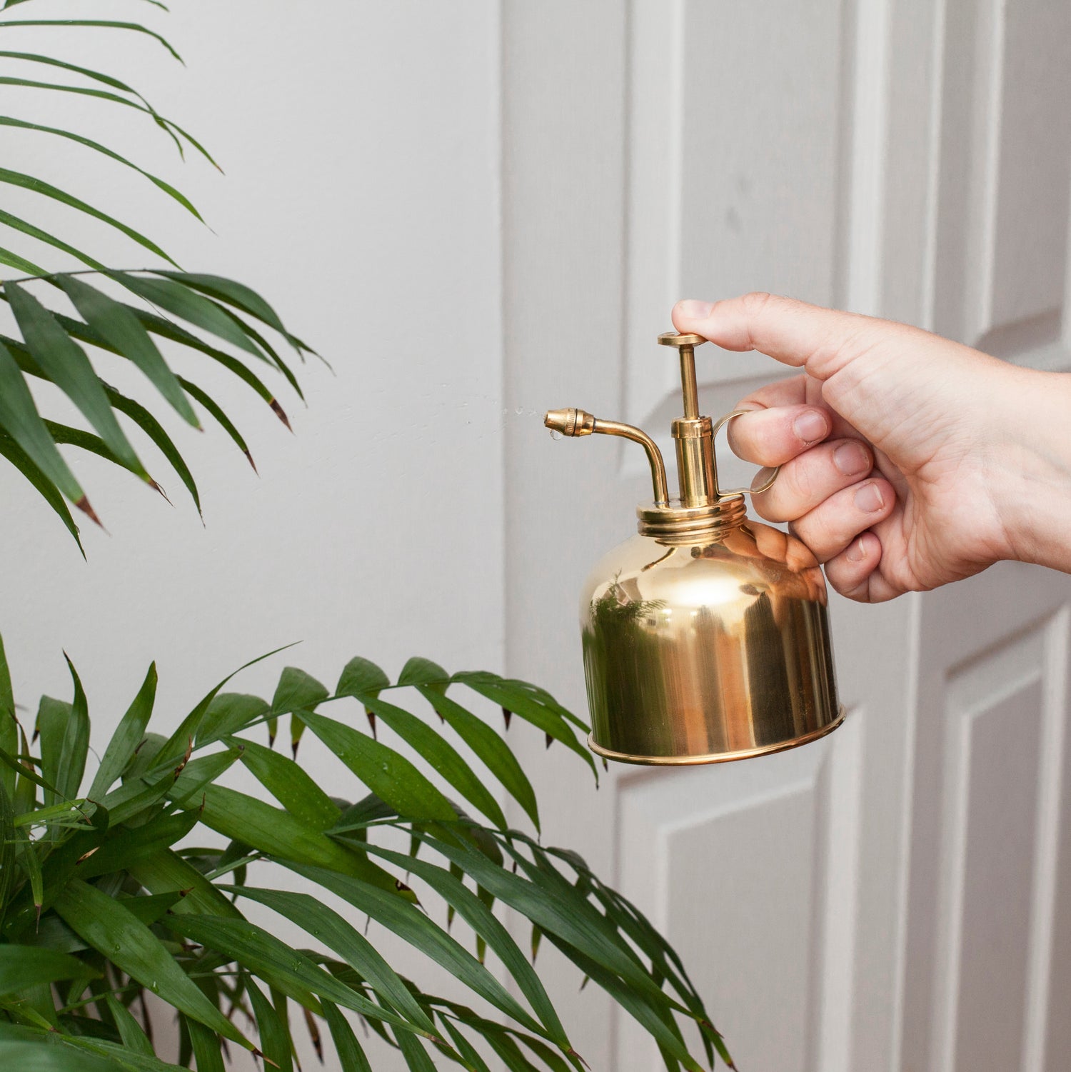 Brass Plant Mister
