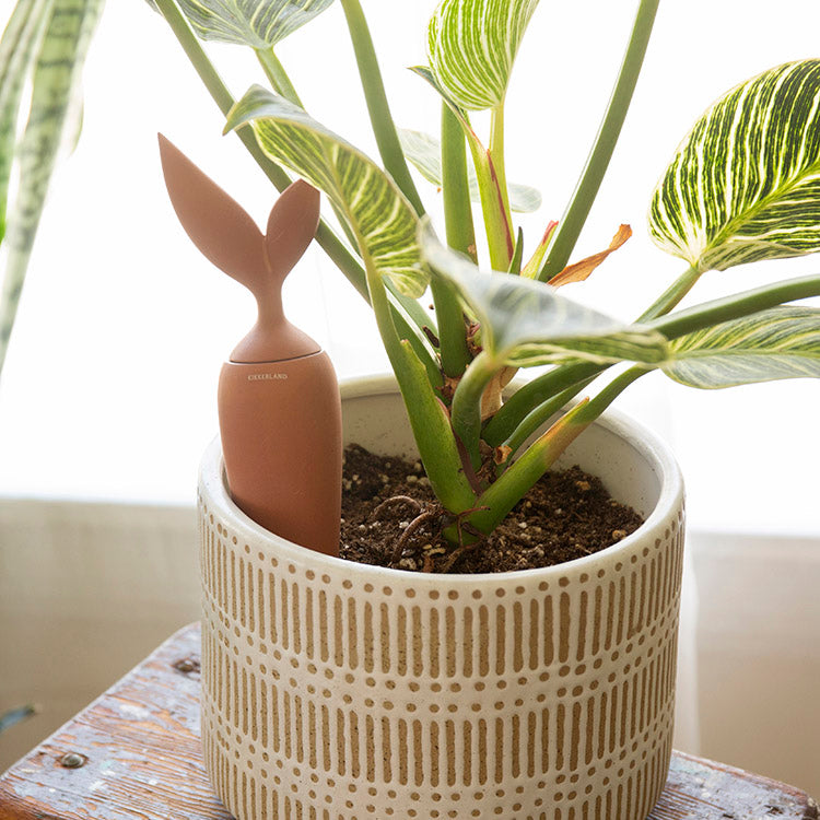 Terracotta Watering Stake