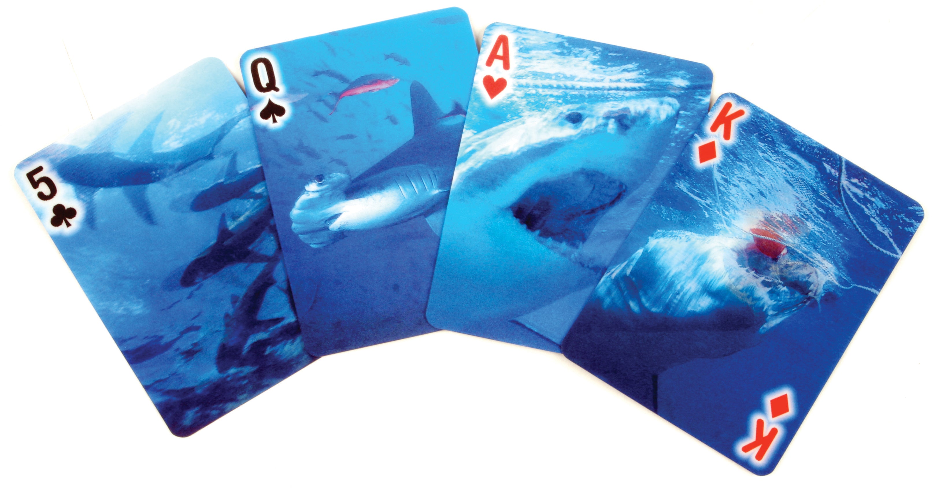 SHARK DECK PLAYING CARDS 6個+専用箱セット Amazon.com: 3D Lenticular Shark Playing Card Deck - by Artgame