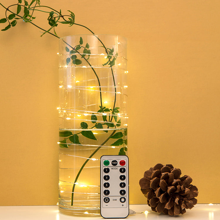 EXTRA LONG SILVER STRING LIGHTS