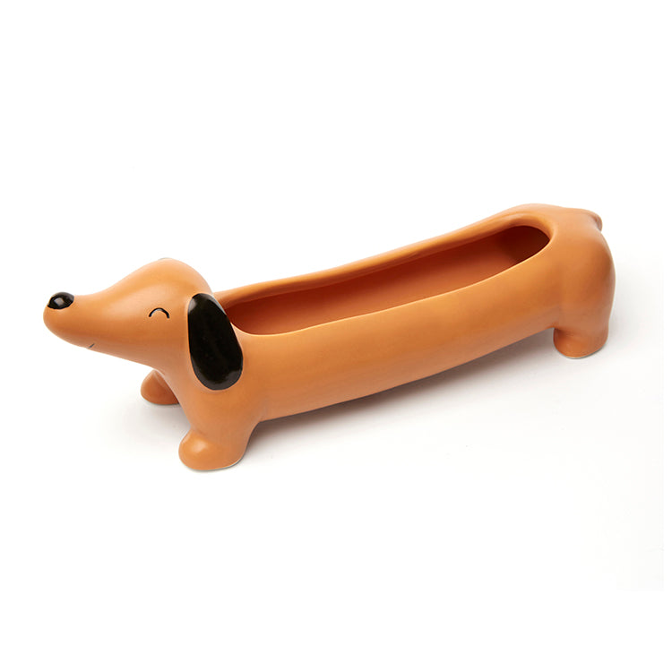 dachshund succulent planter Daisy the Dachshund Planter