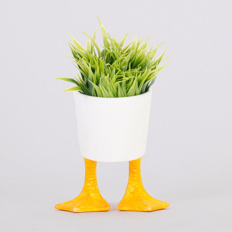 Small Duck Feet Planter