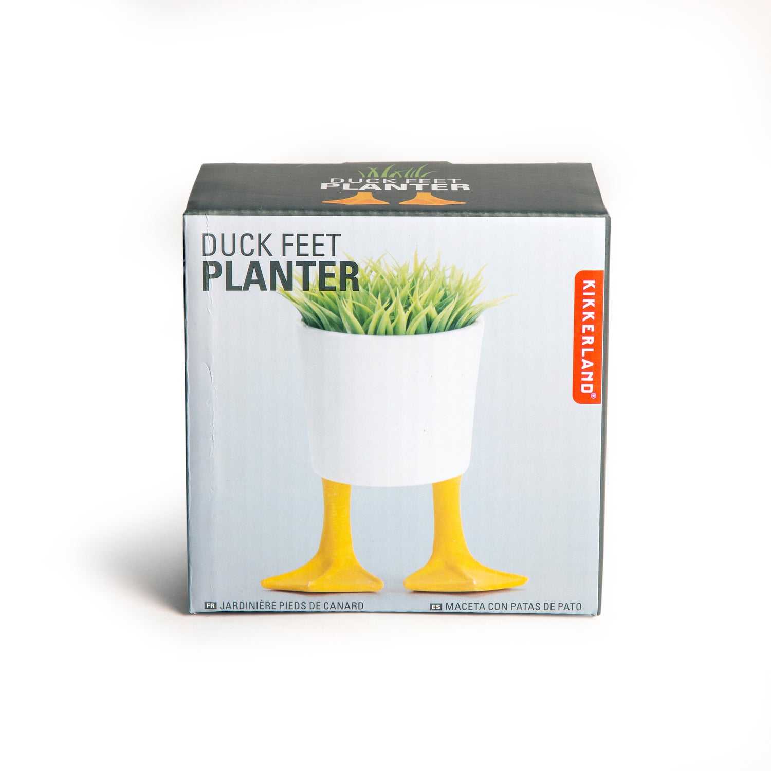 Small Duck Feet Planter