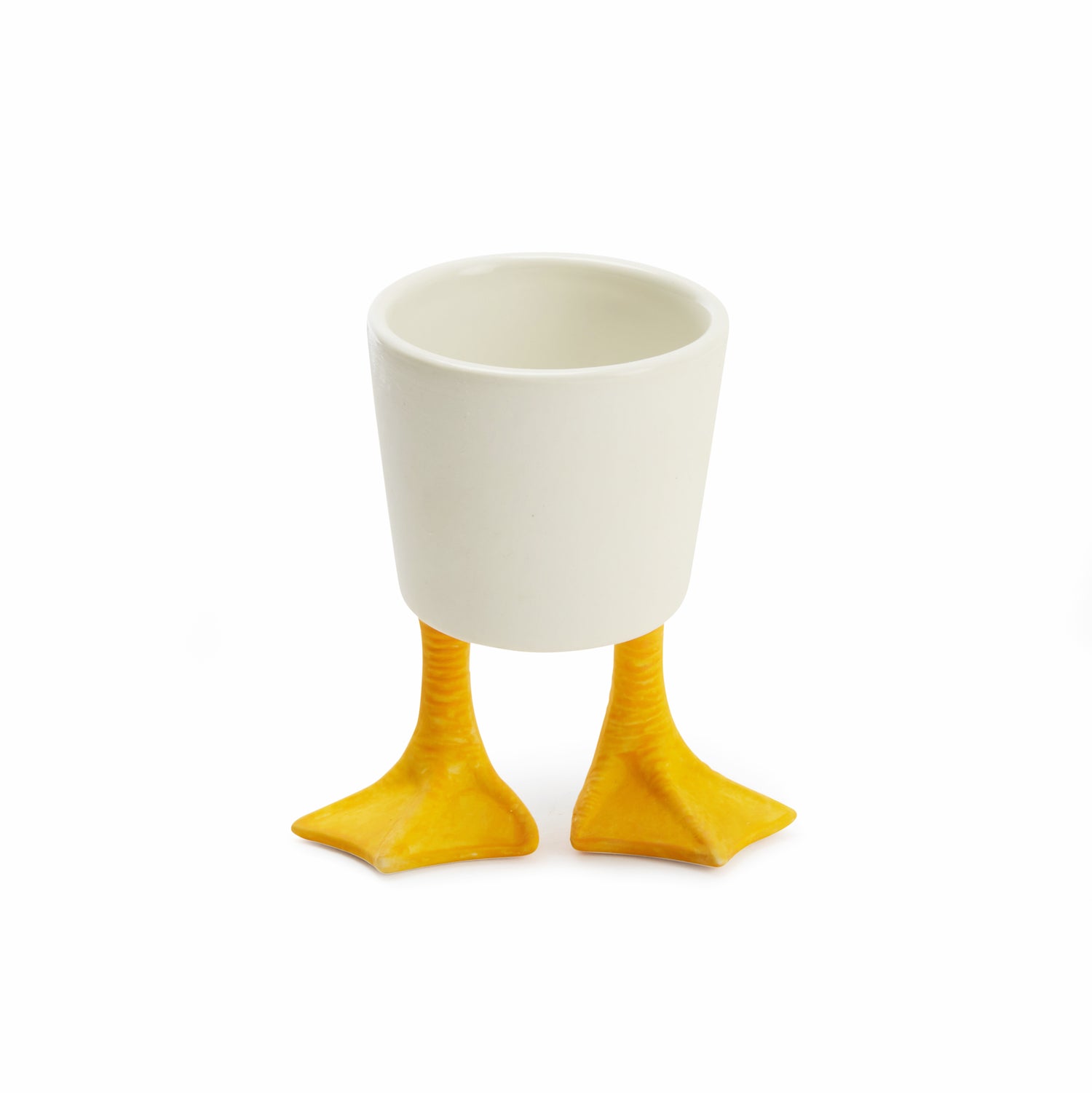 Small Duck Feet Planter