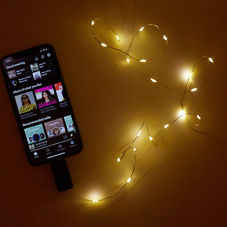 Sound Activated String Light