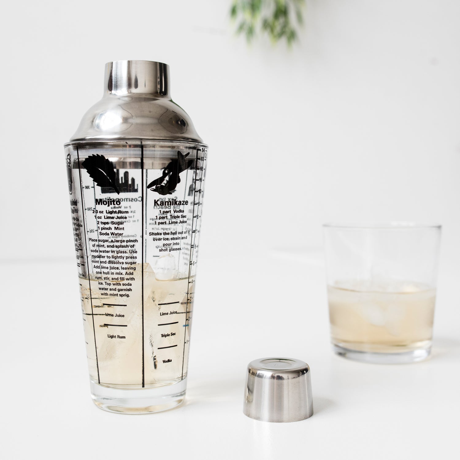 Mix Master Cocktailshaker