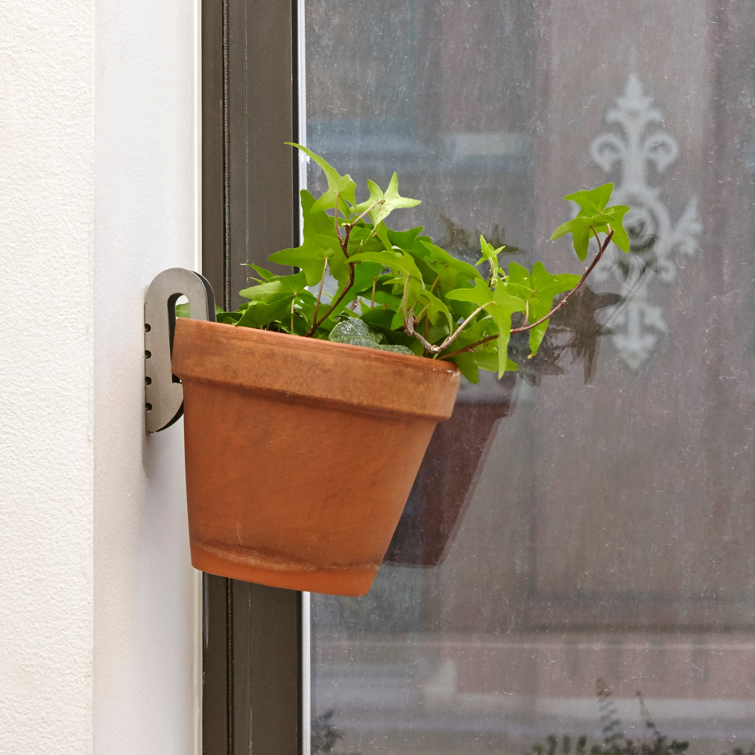 Cintres flottants pour plantes