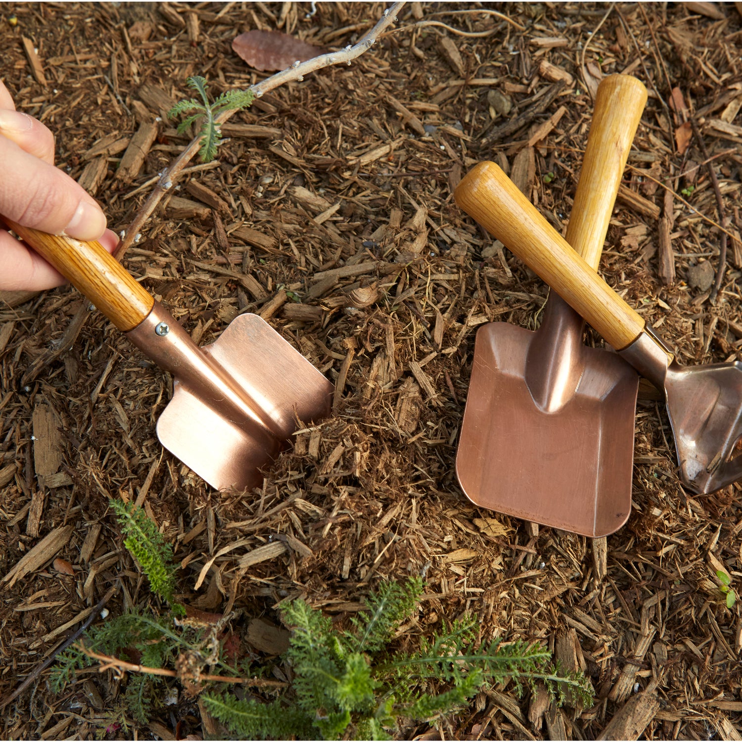 Ensemble d'outils de jardinage