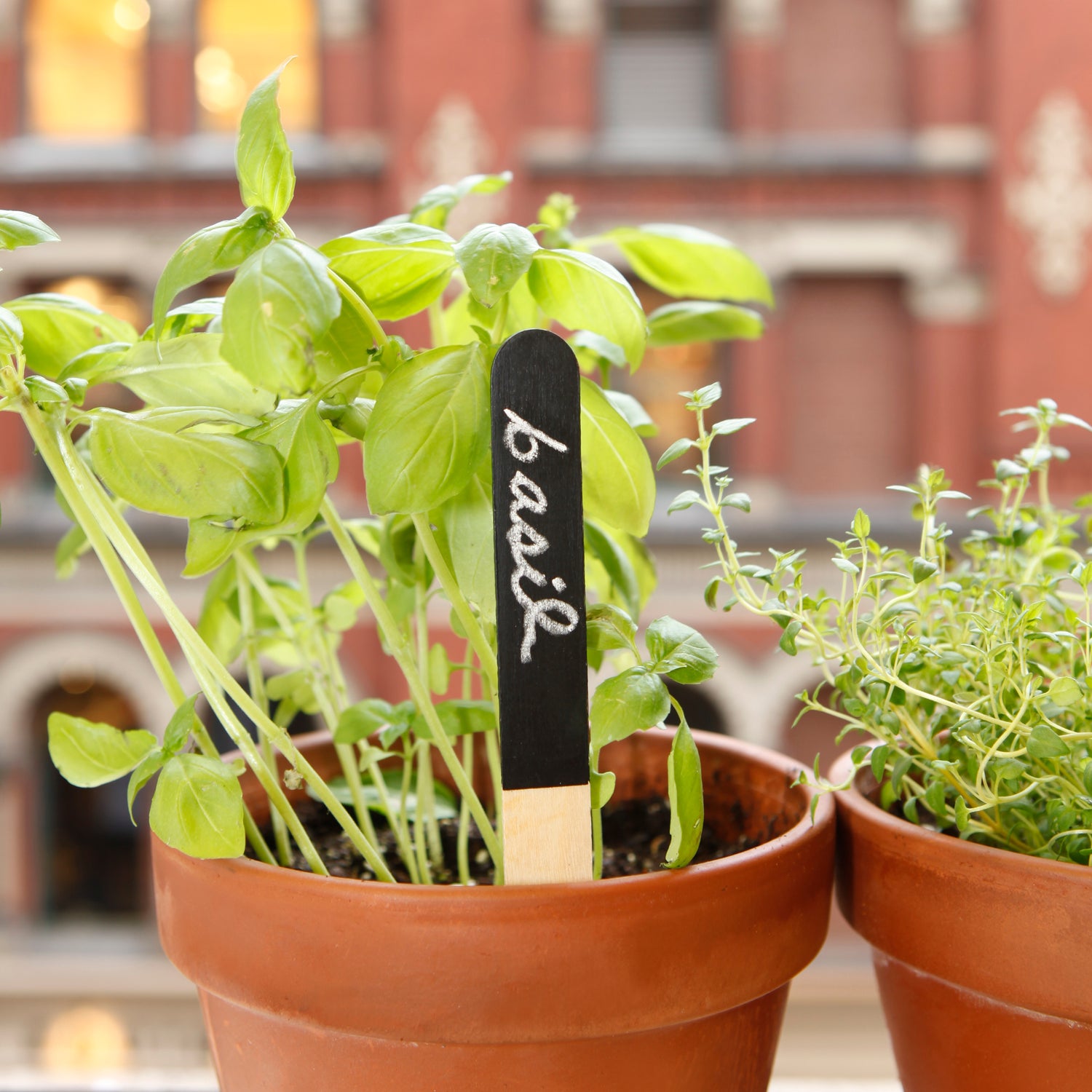 Reusable Garden Markers