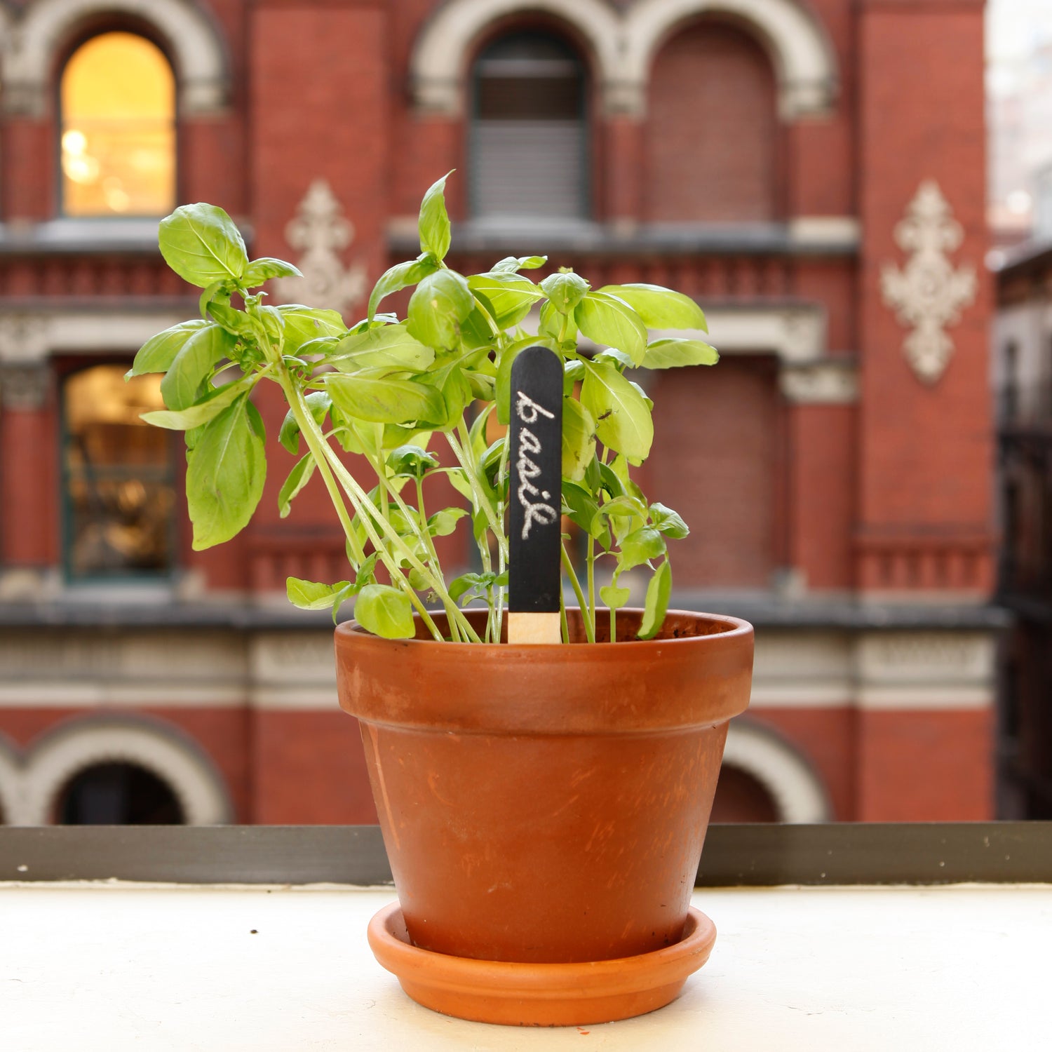 Reusable Garden Markers