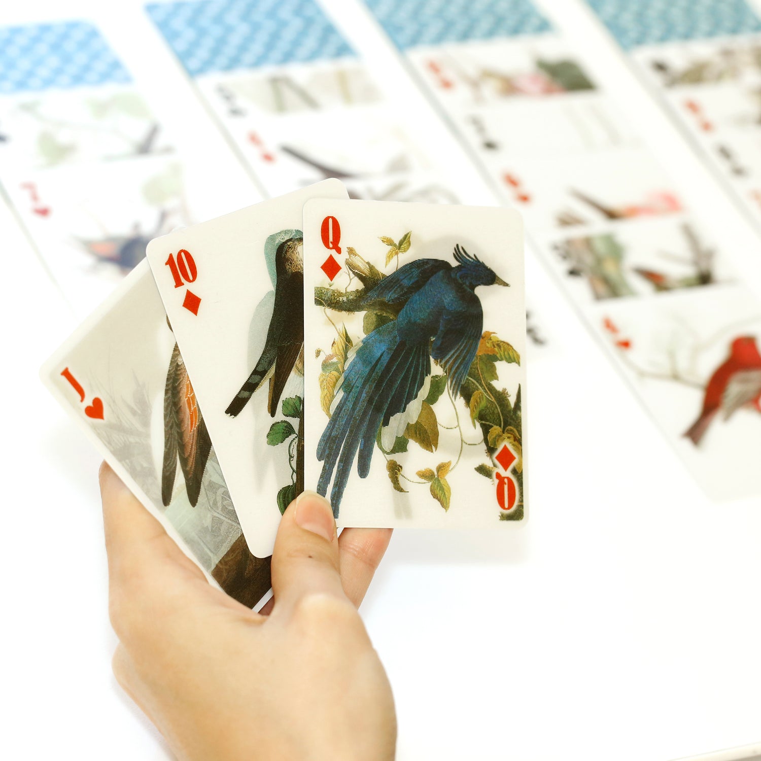 3-D Bird playing cards