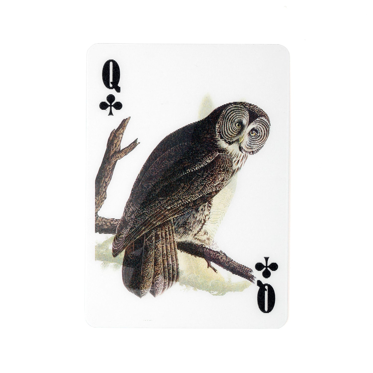 3-D Bird playing cards
