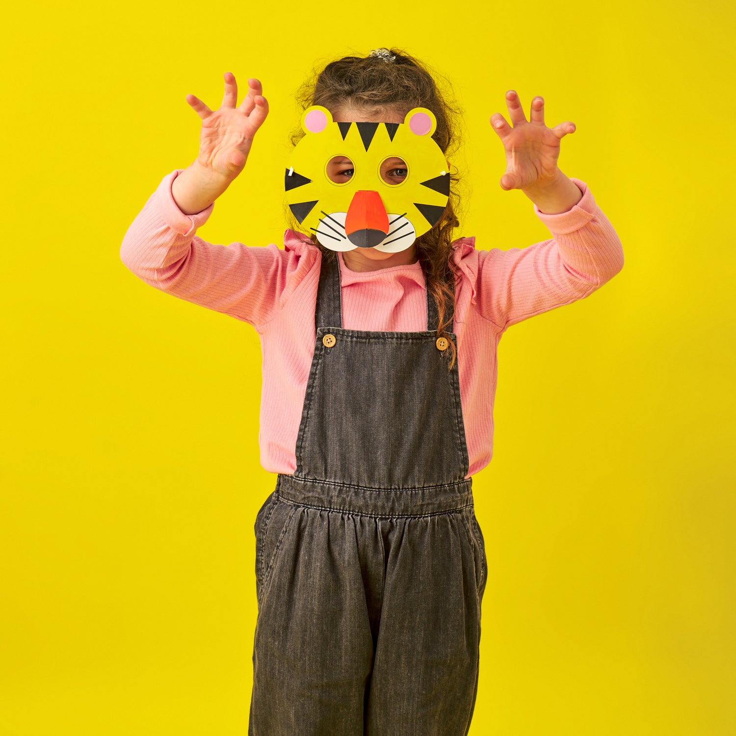 Kidoki Make, Paint & Play: Animal Masks
