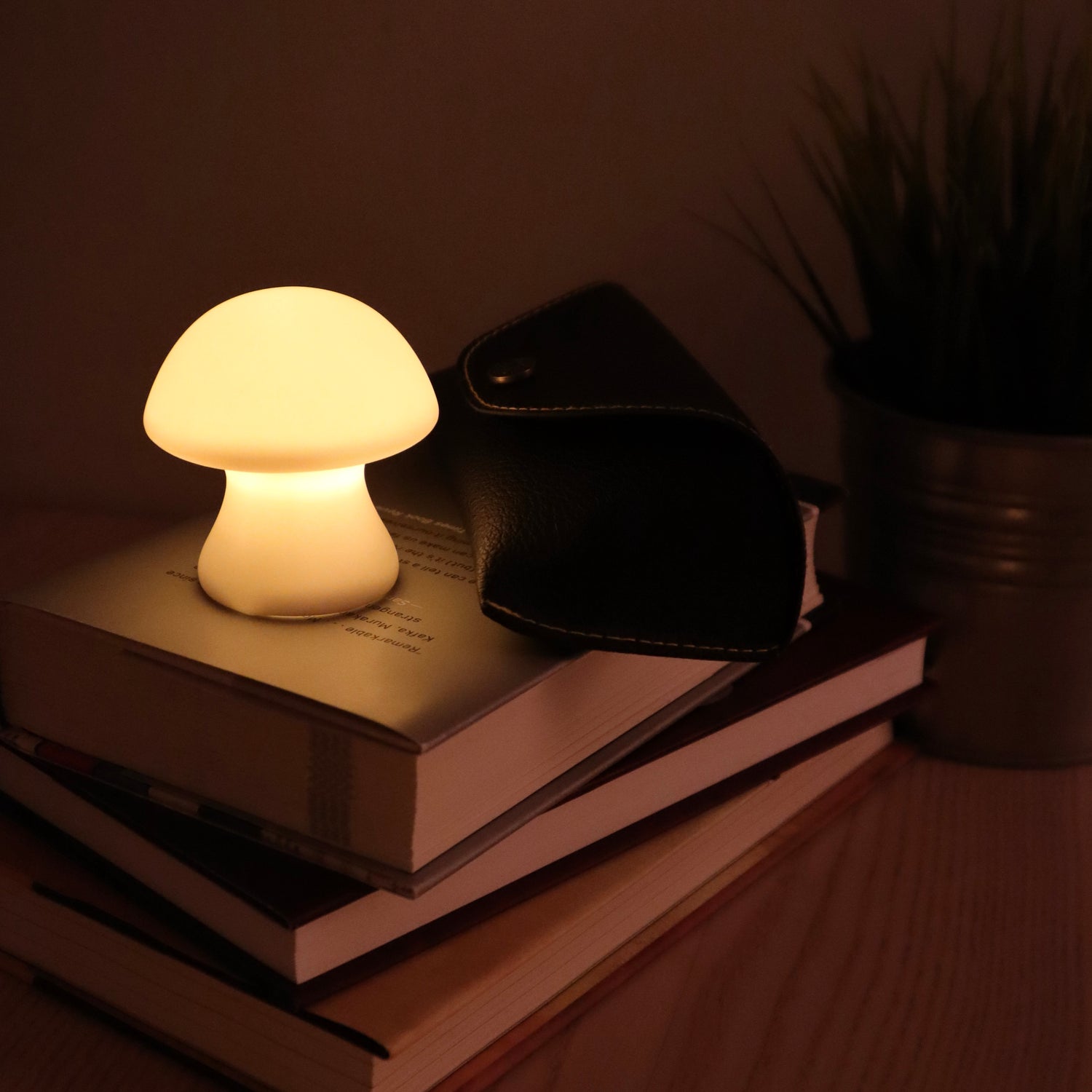 Mini Mushroom Light