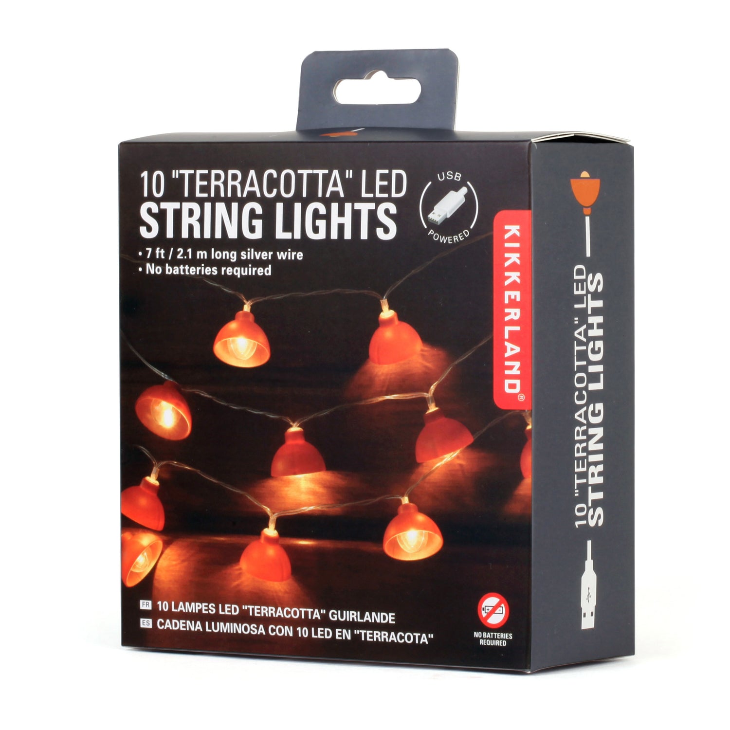 Terracotta String Lights 10 Ft