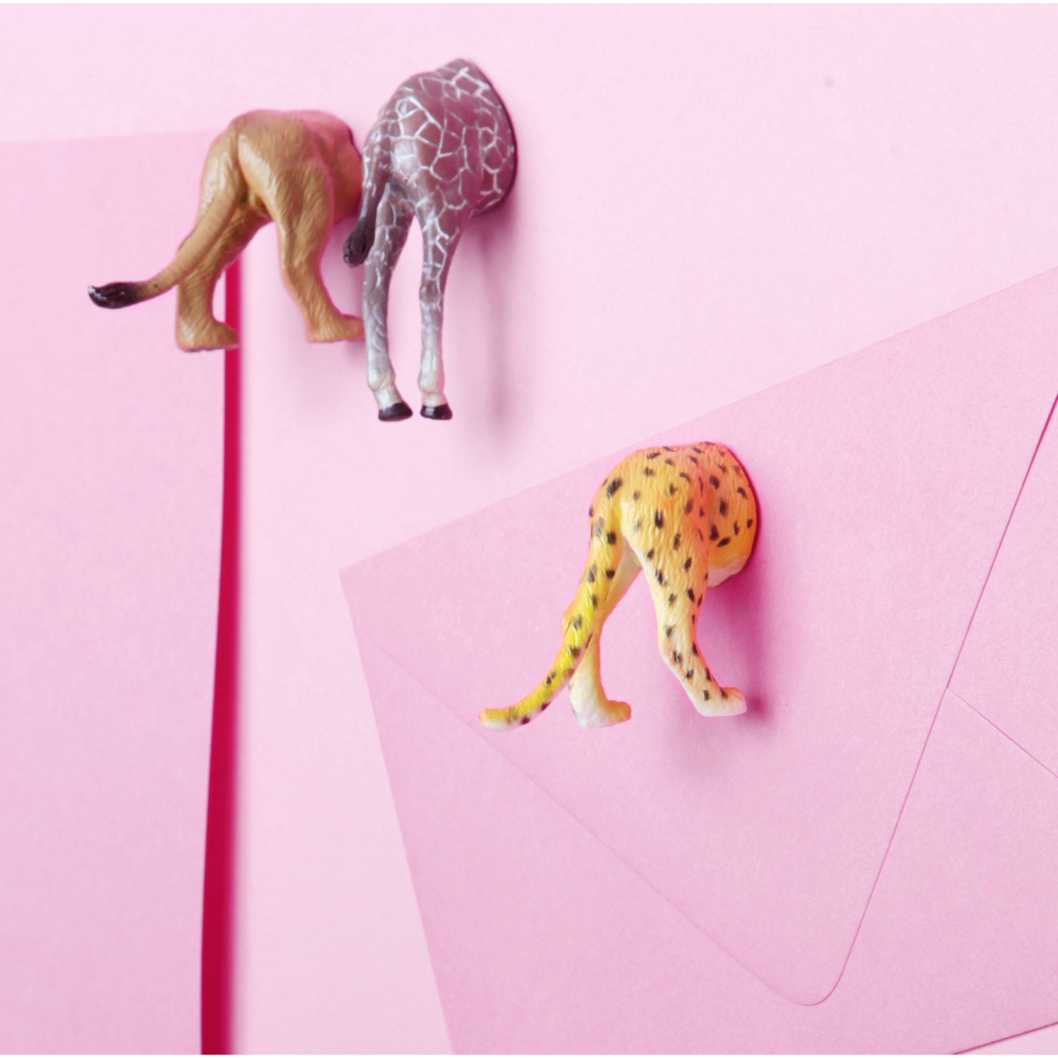 Safari dierenkontmagneten