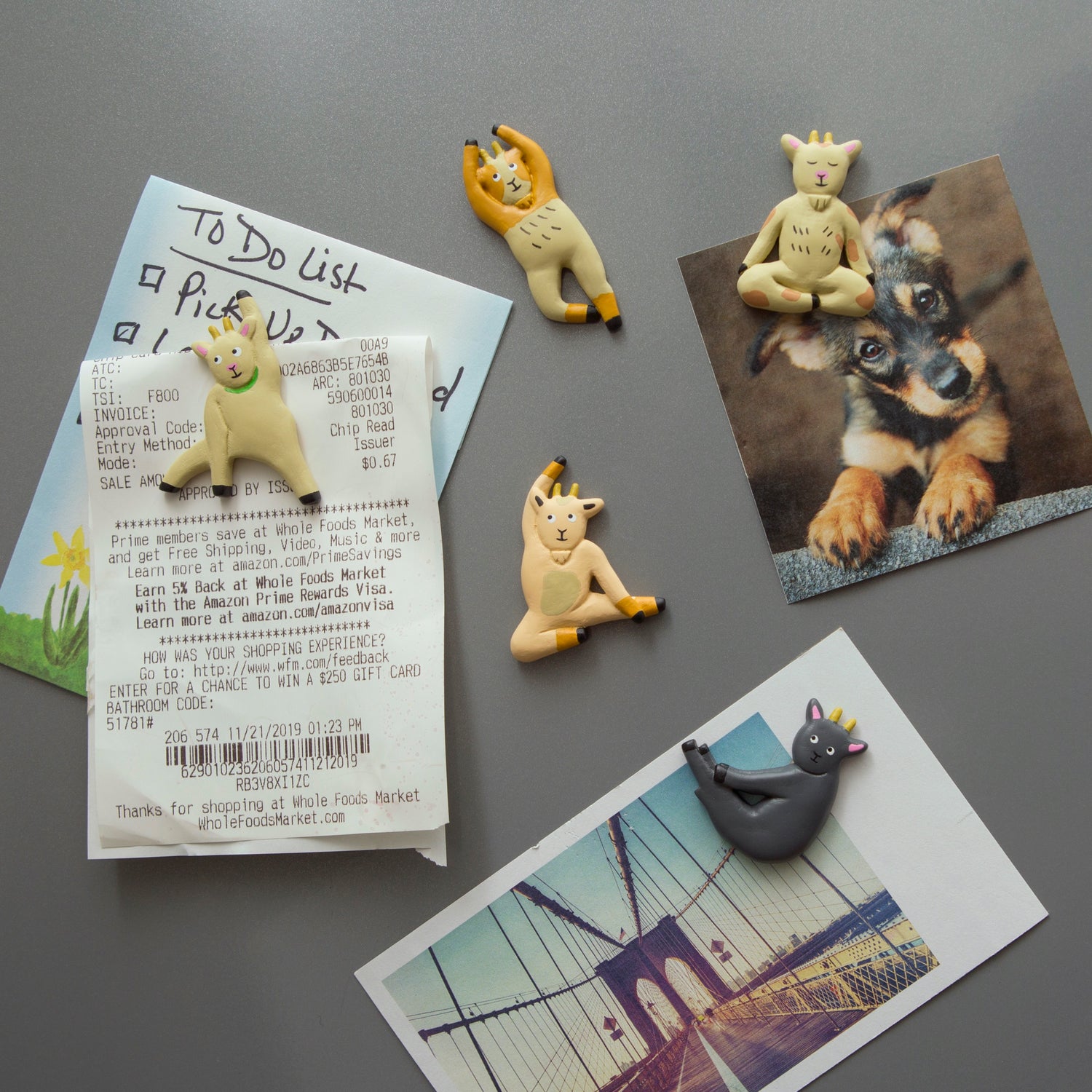 Goat Yoga Magnets