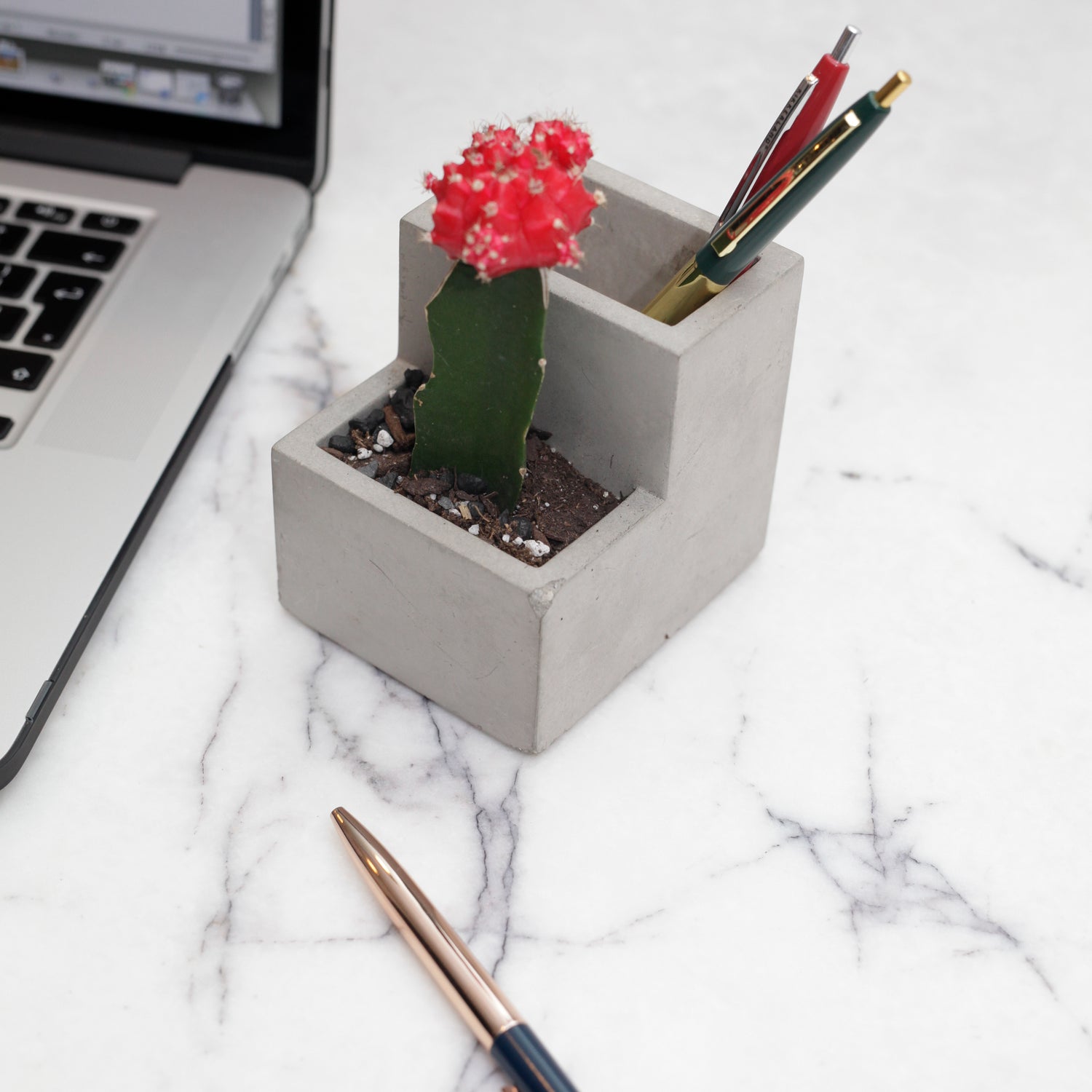 Small Concrete Planter And Pen Holder