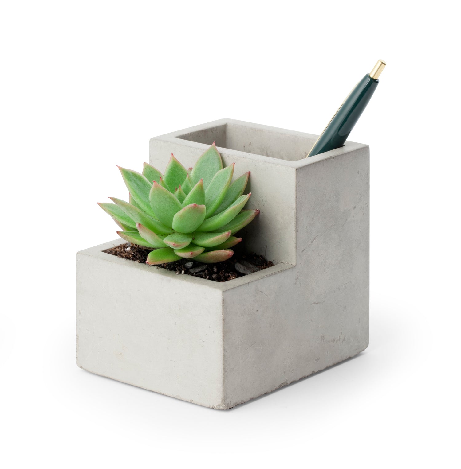 Small Concrete Planter And Pen Holder