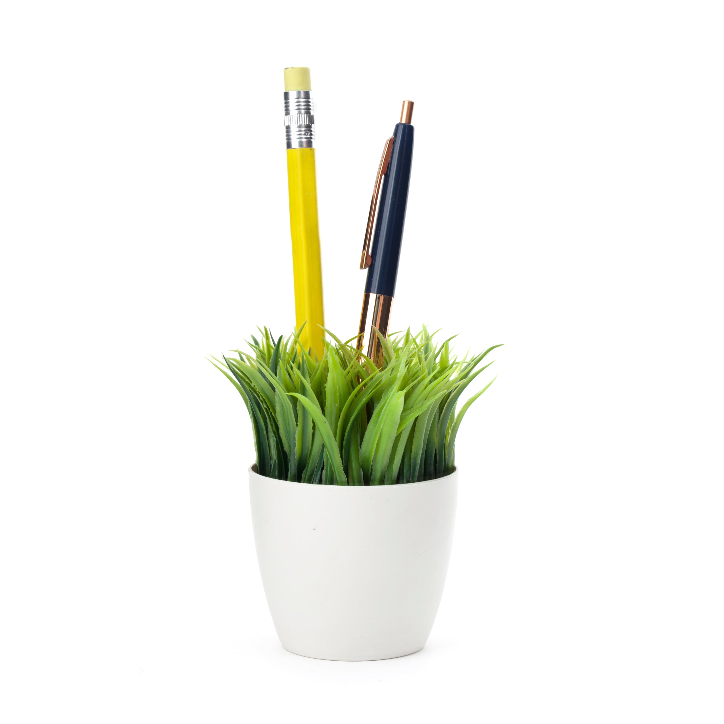 Potted Pen Stand – Kikkerland Design Inc