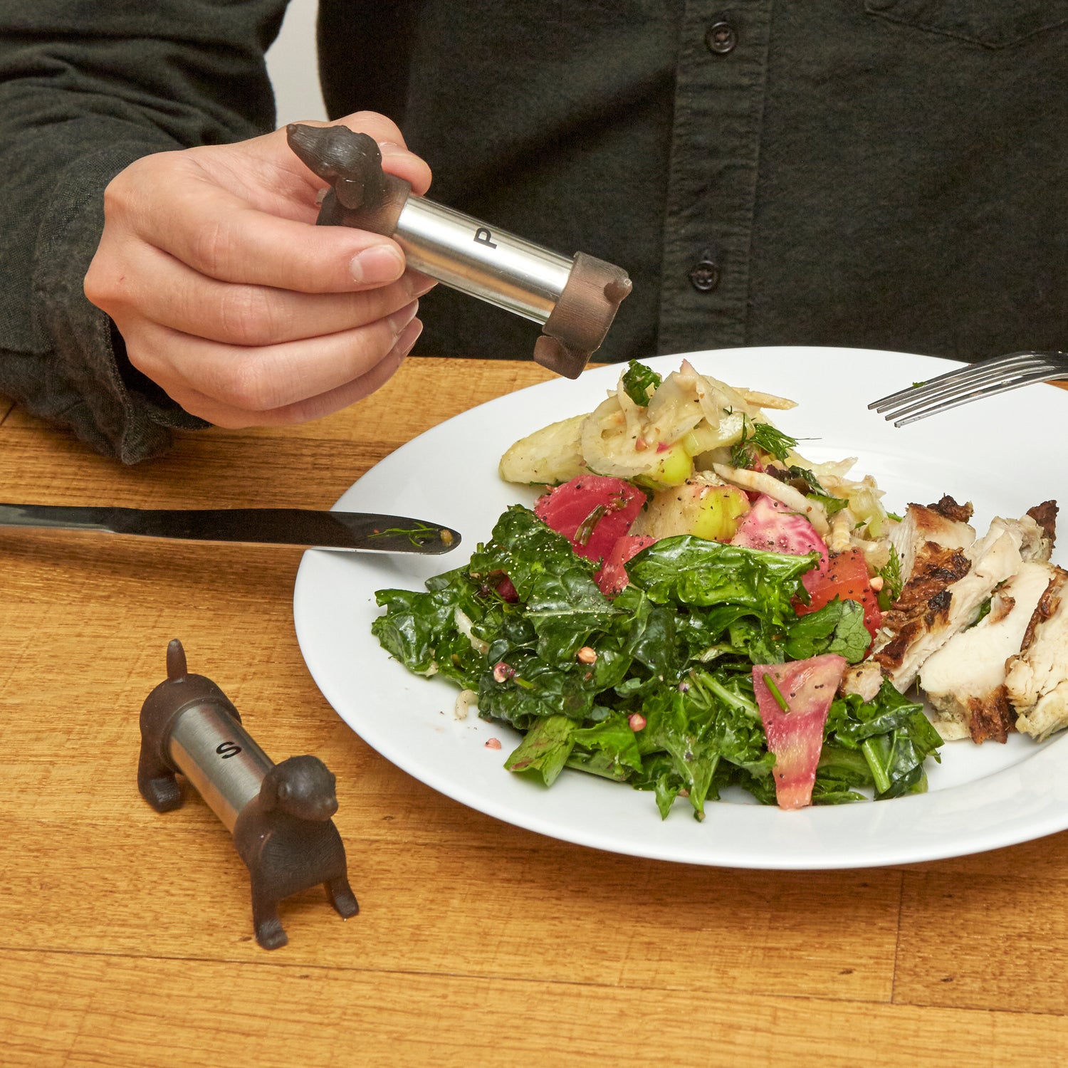 Salière et poivrière teckel