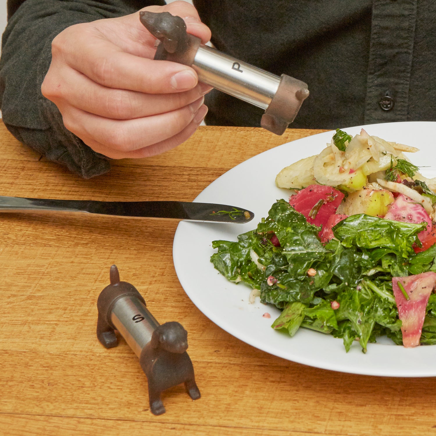 Salière et poivrière teckel