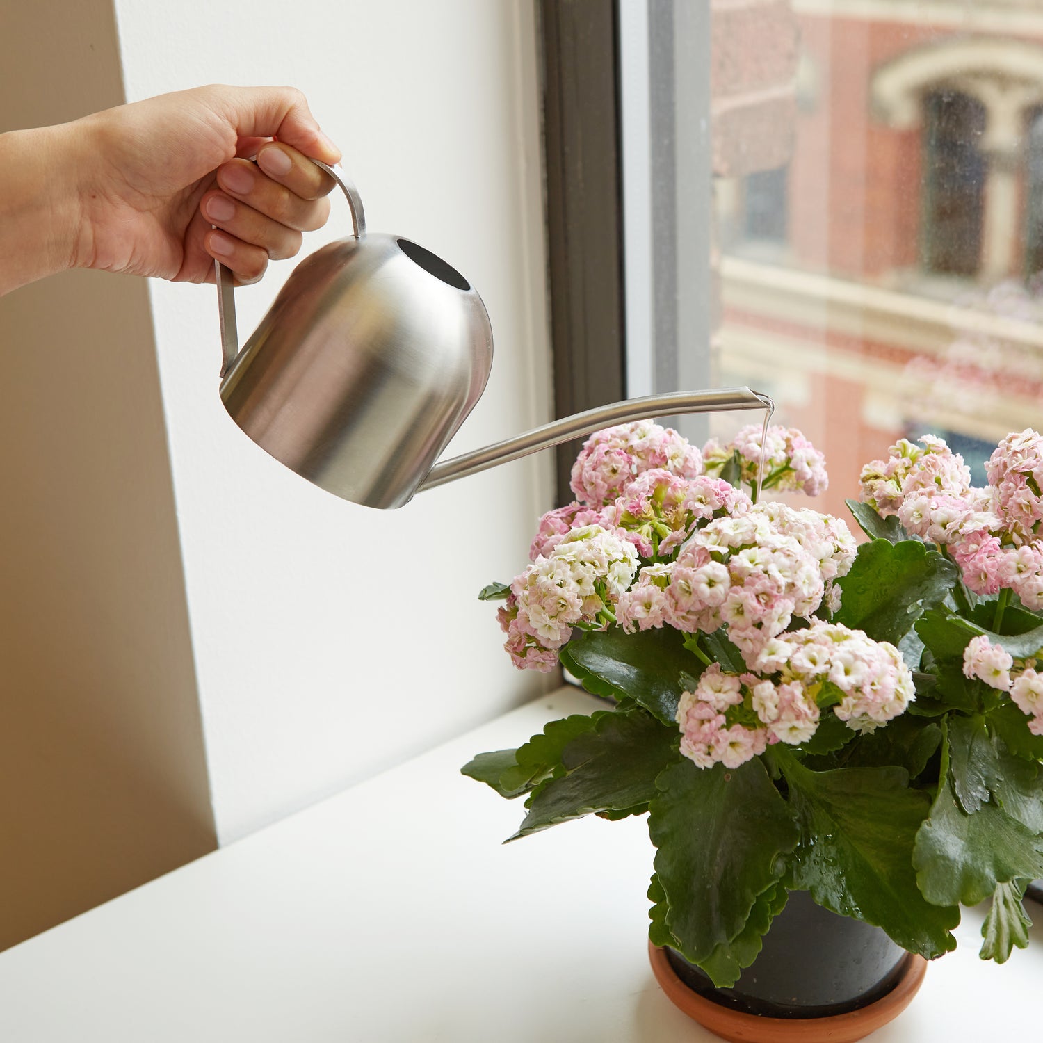 Stainless Steel Watering Can