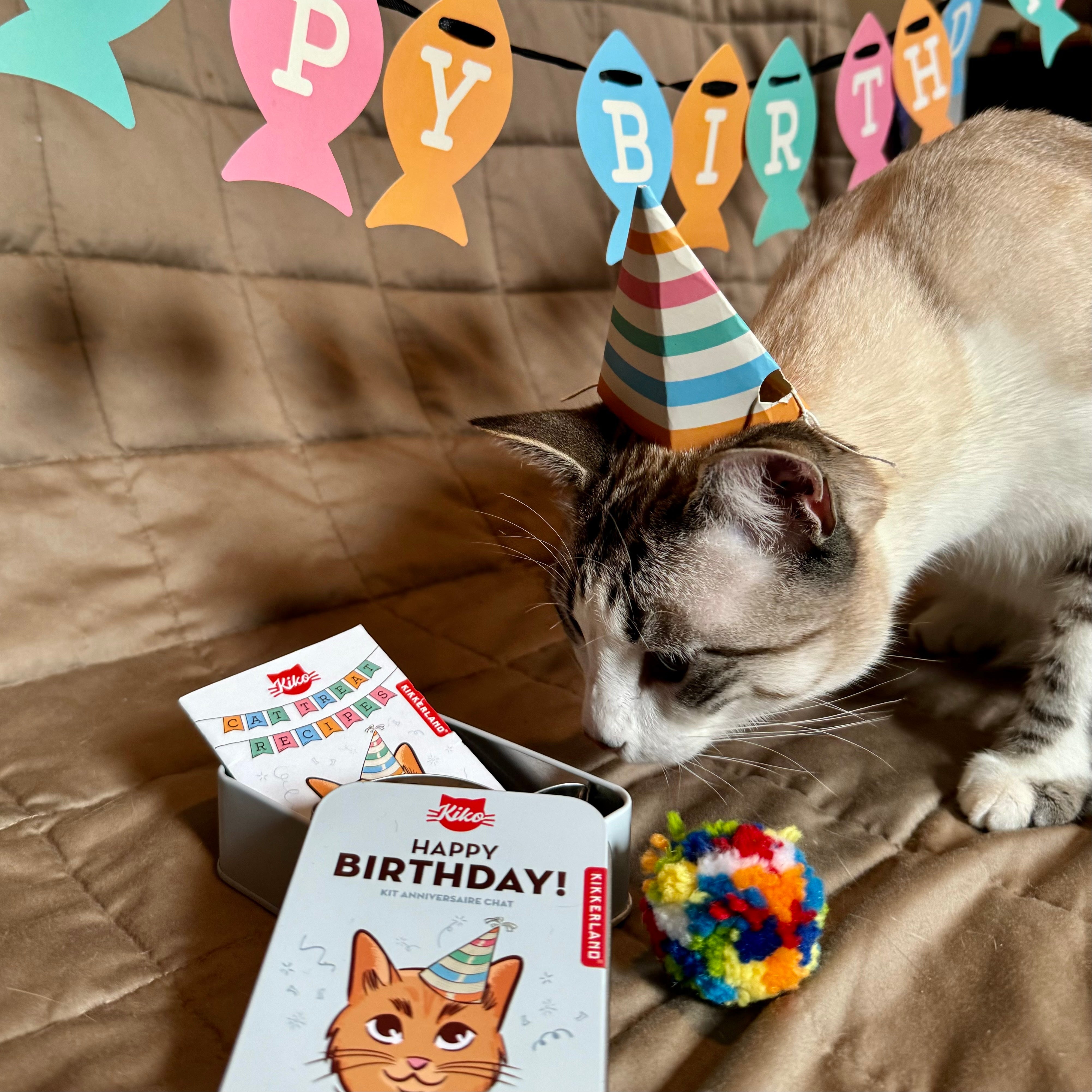 Kiko Cat Happy Birthday Kit – Kikkerland Design Inc