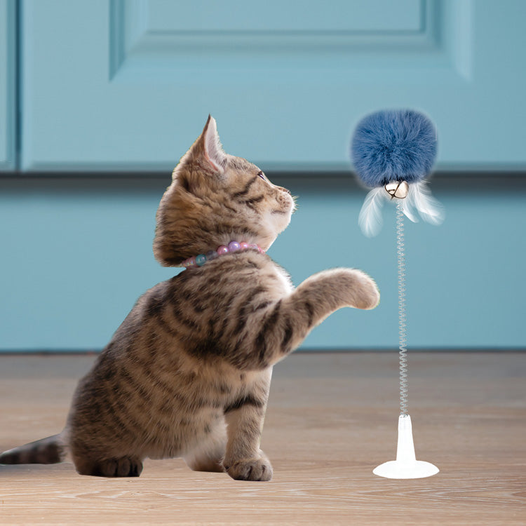 Kitty Spring Toy