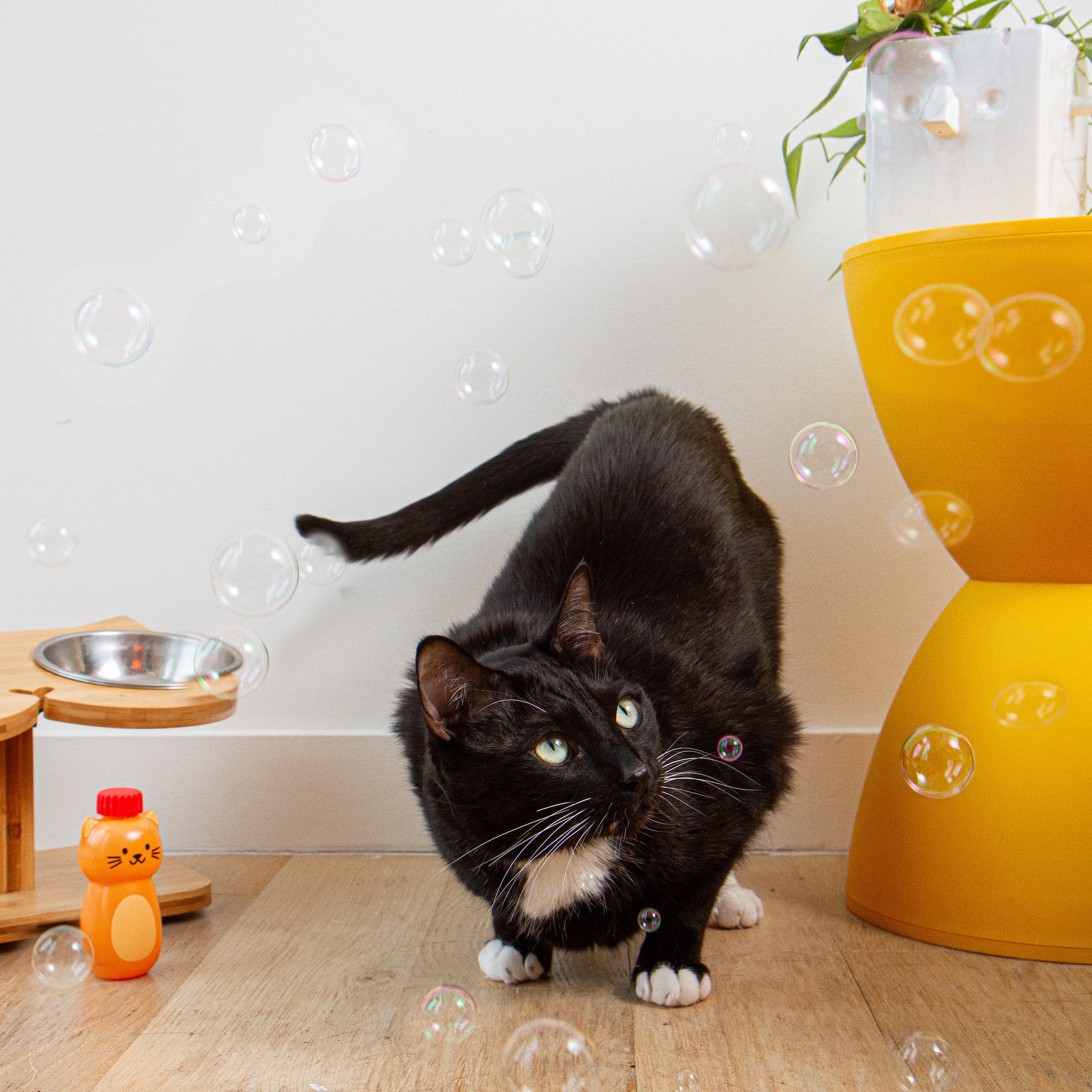 Kiko Catnip Bubbles – Kikkerland Design Inc