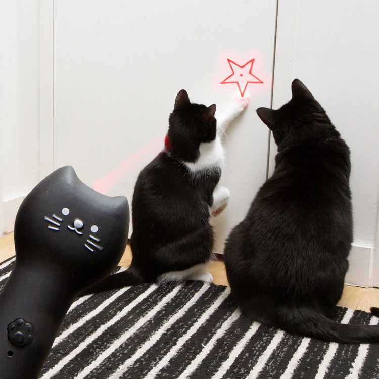Kiko Rechargeable Pounce & Play Laser – Kikkerland Design Inc
