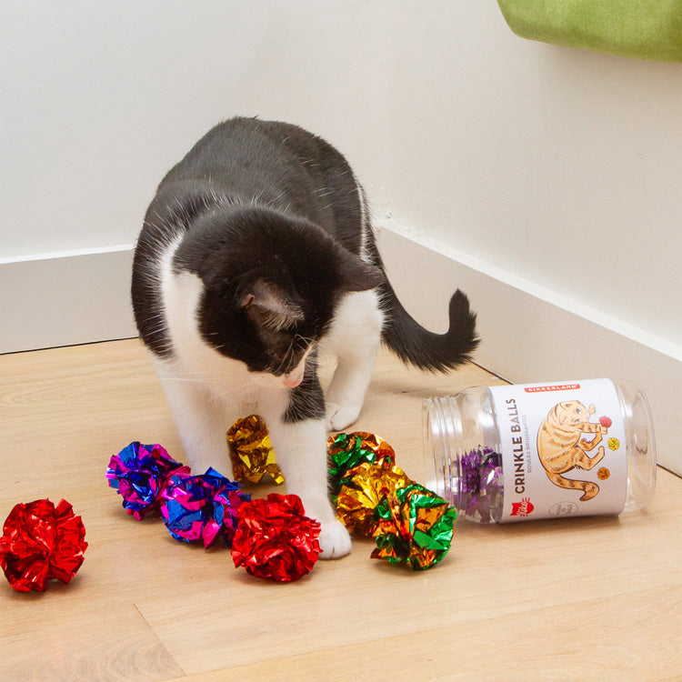 ボール kkky Kiko Crinkle Balls – Kikkerland Design Inc