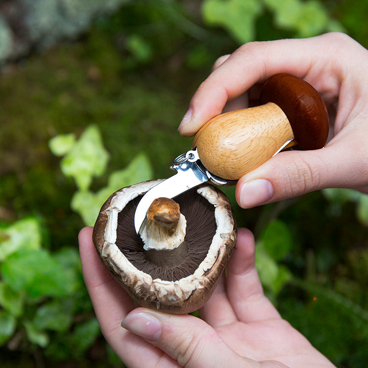 Mushroom Tool Keychain – Kikkerland Design Inc