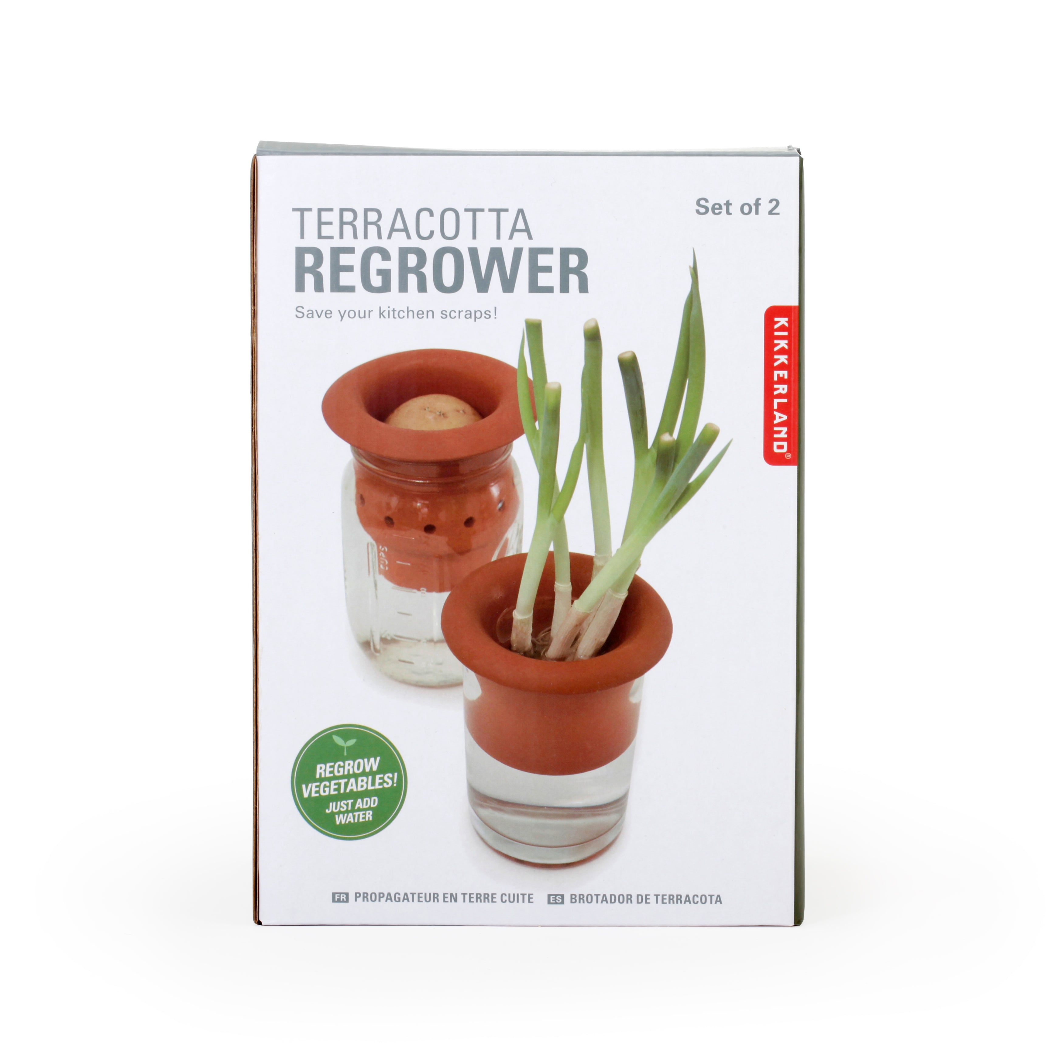 Terracotta Regrower – Kikkerland Design Inc