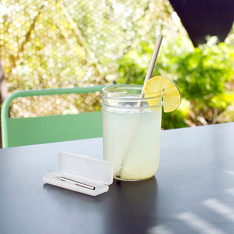 Travel Straw Set – Kikkerland Design Inc
