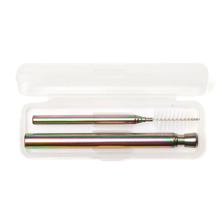 Iridscent Travel Straw Set