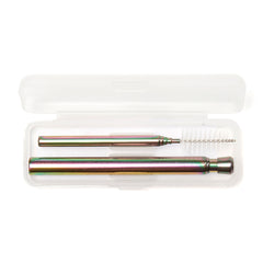 Iridscent Travel Straw Set