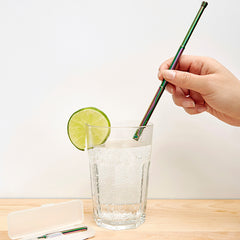 Iridscent Travel Straw Set