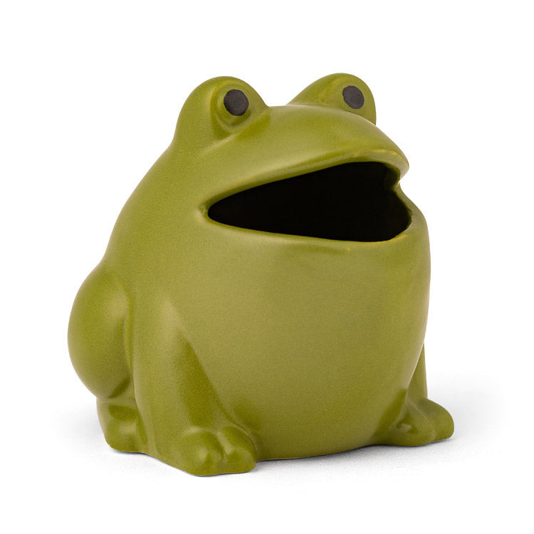 Froggy Fly Trap