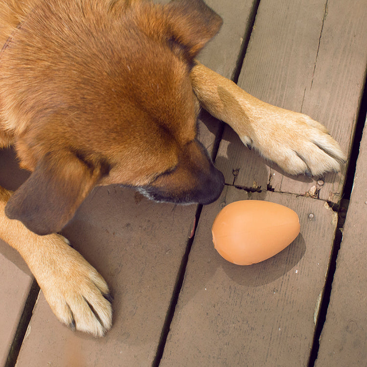 Bouncy Egg Treat Ball