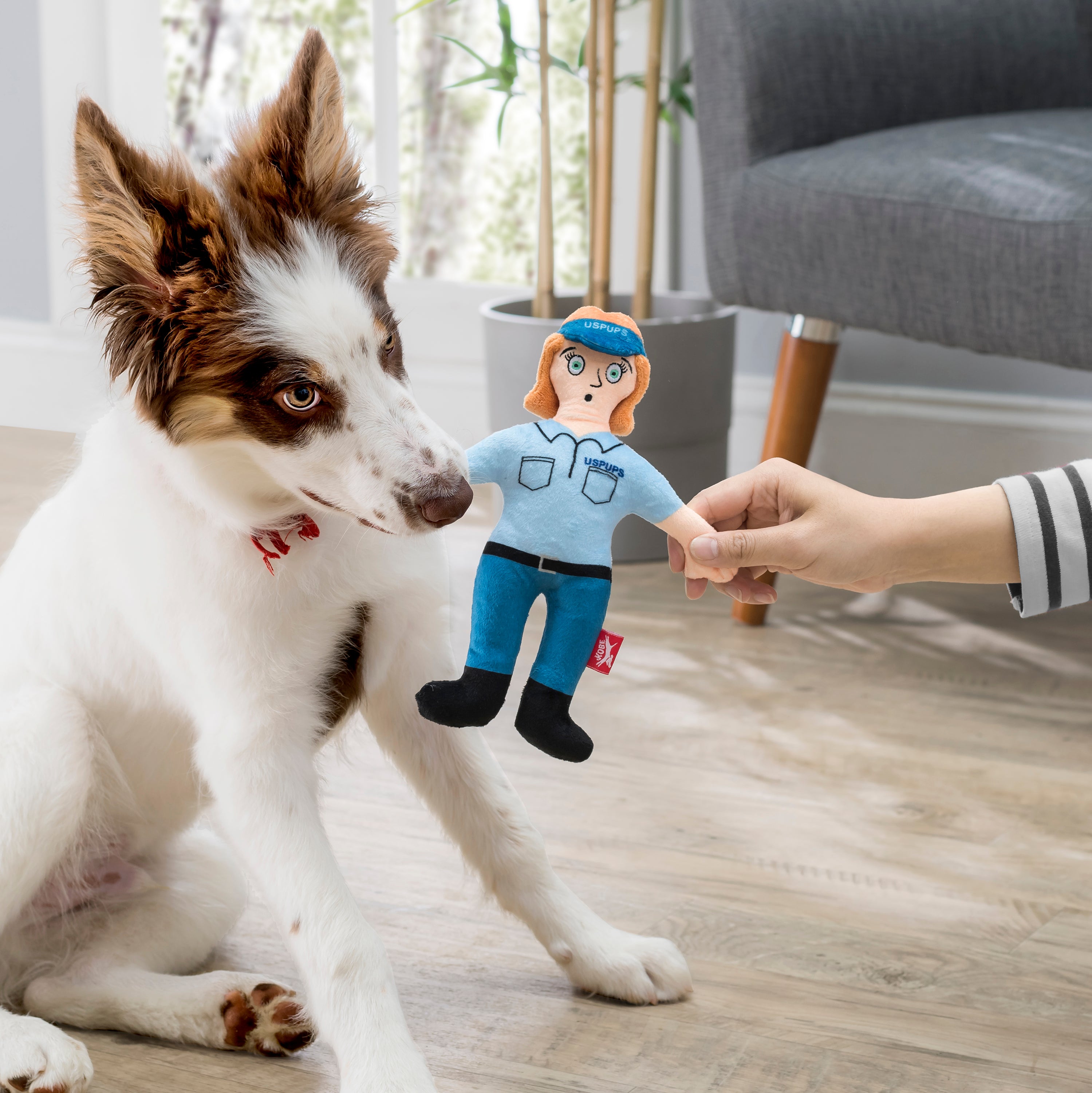 Kobe USPups Squeeky Plush Toy – Kikkerland Design Inc