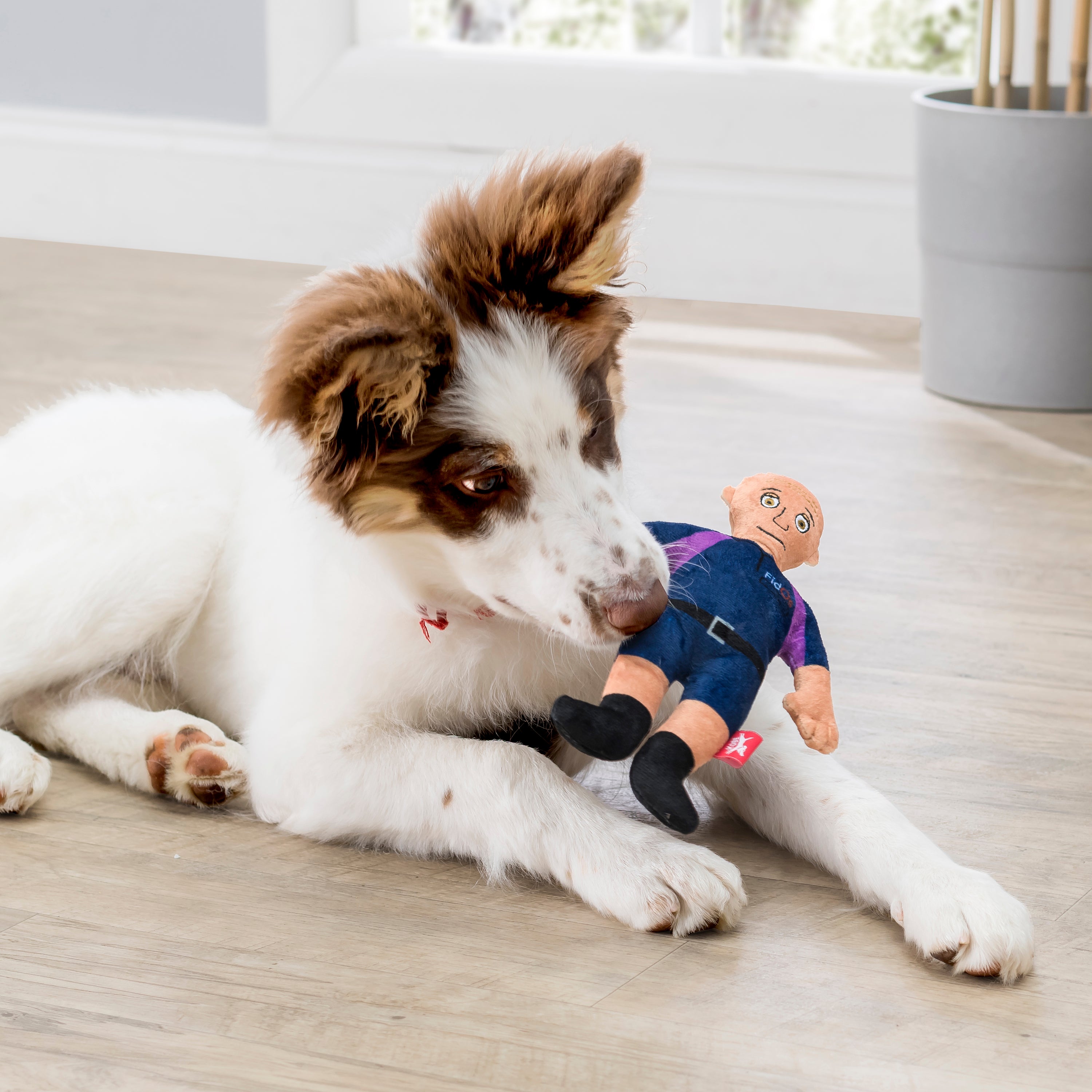Kobe FidOs Squeeky Plush Toy – Kikkerland Design Inc