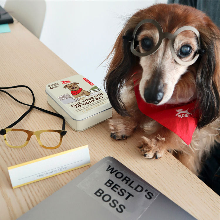 Kobe Take Your Dog to Work Day – Kikkerland Design Inc