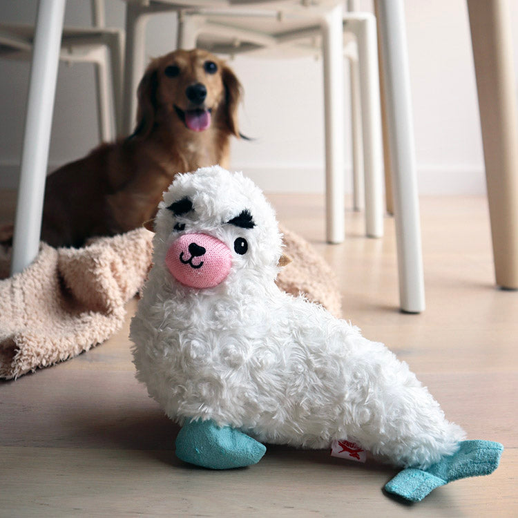 Kobe Seal Dog Toy – Kikkerland Design Inc