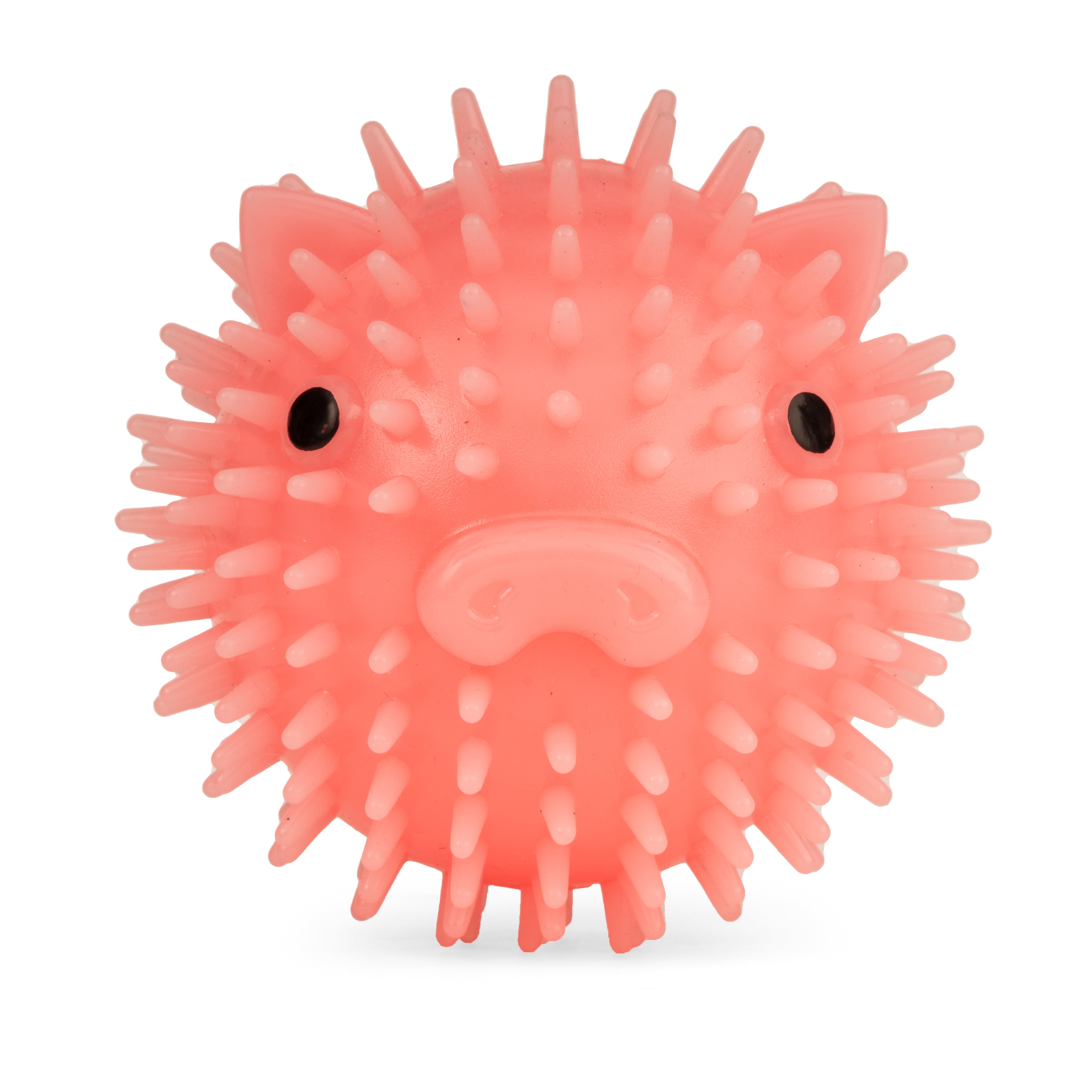 Piggy Dog Ball – Kikkerland Design Inc