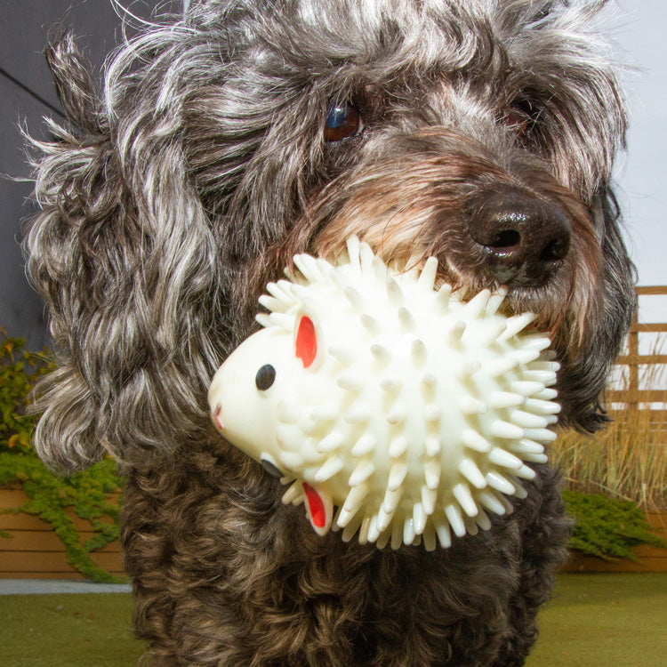 Kobe Sheep Dog Ball – Kikkerland Design Inc
